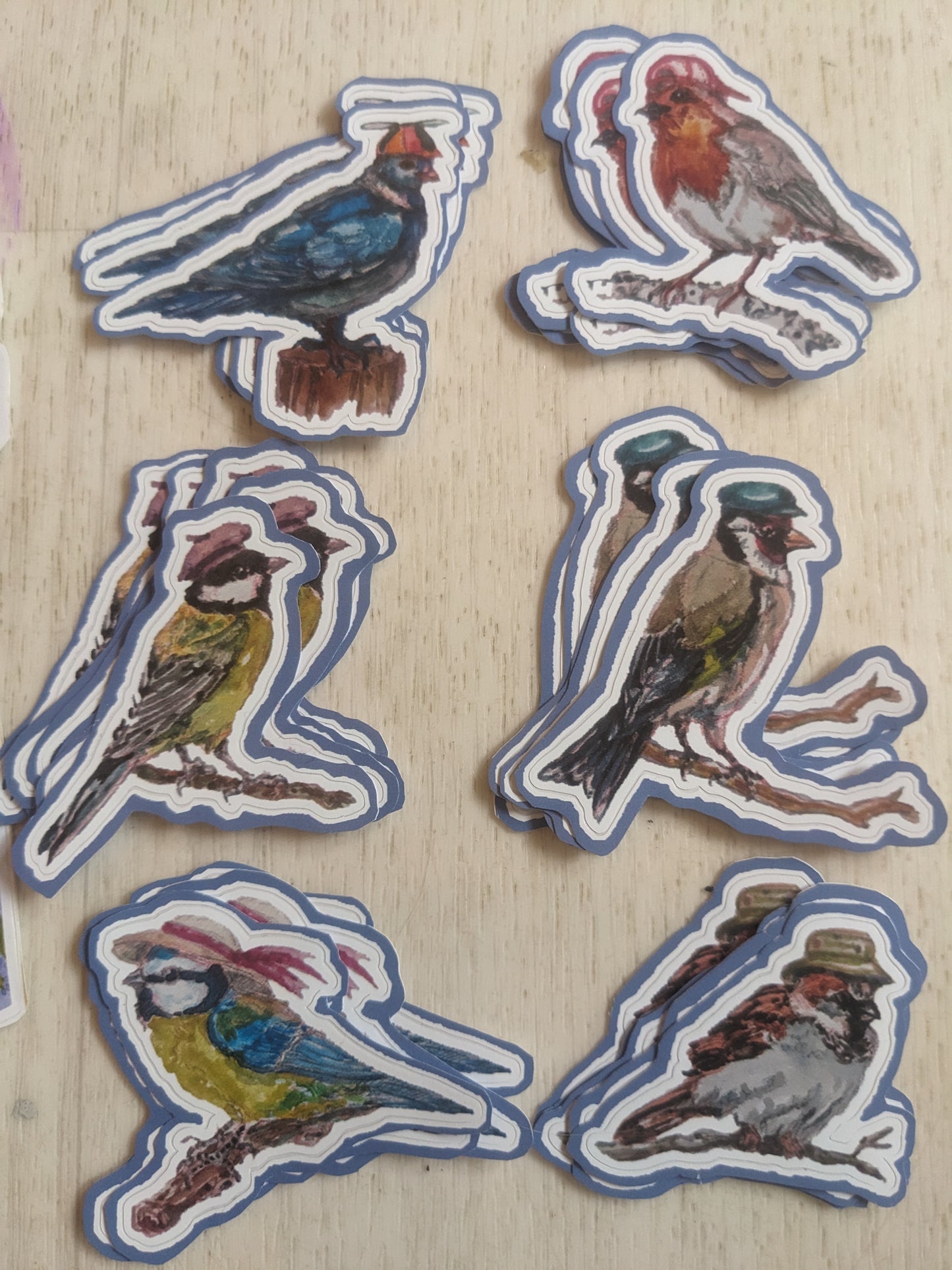 Brad the European Robin Sticker