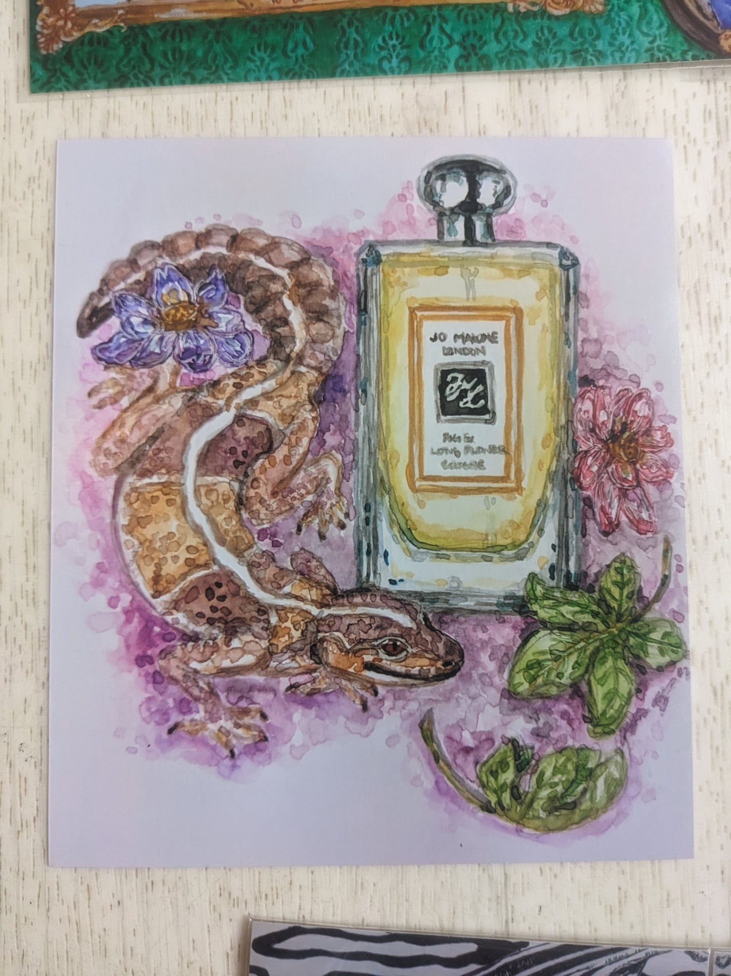 African Fat-Tailed Gecko--Perfume Lizard Series