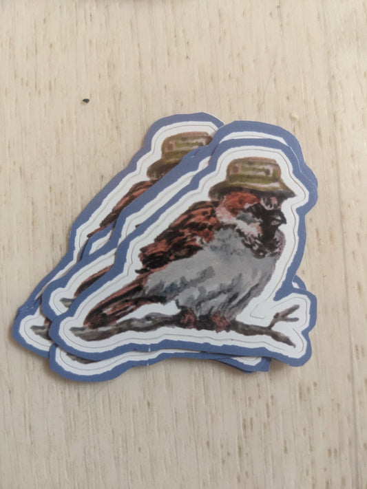 Jared the House Sparrow