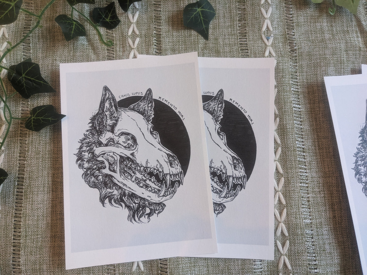 Canis Lupus
