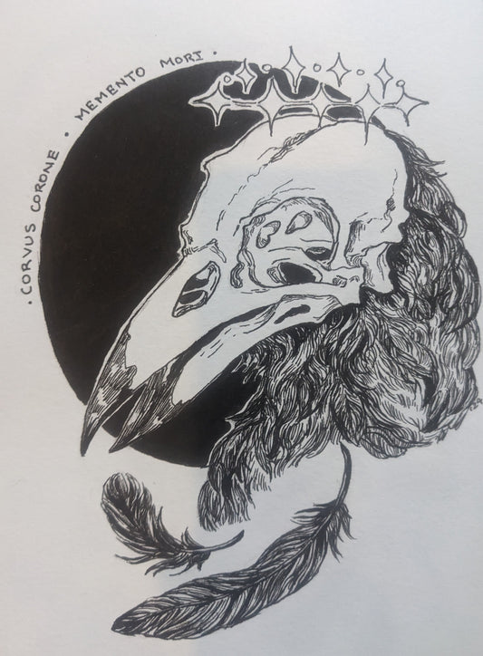 Corvus Corone
