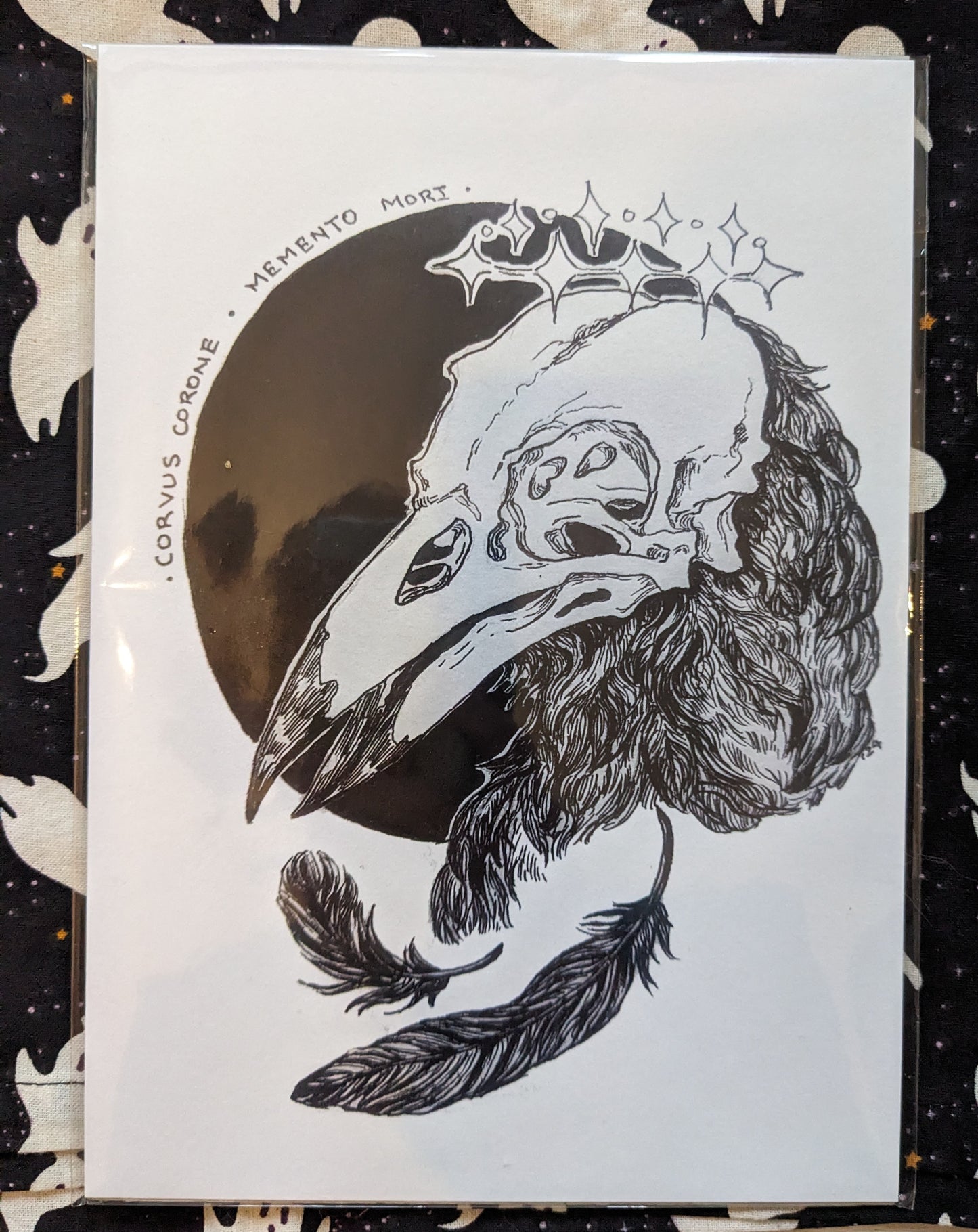 Corvus Corone