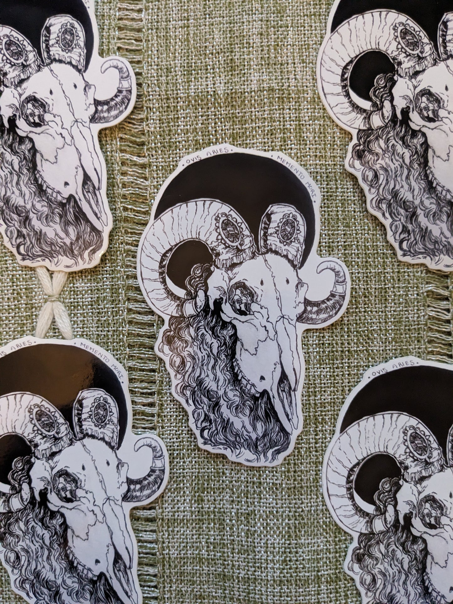 Ovis Aries Sticker-Large