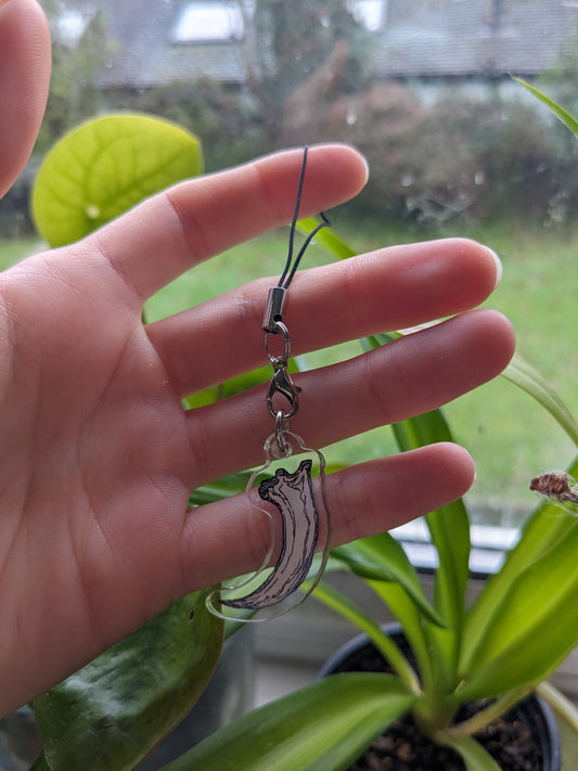 Raptor Claw Phone Charm