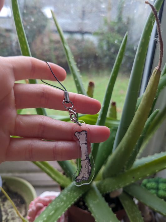 Sauropod Femur Phone Charm