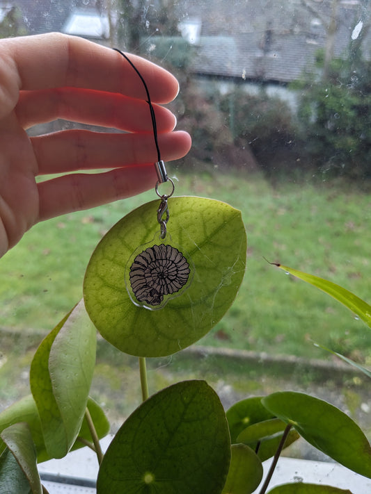Ammonite Phone Charm